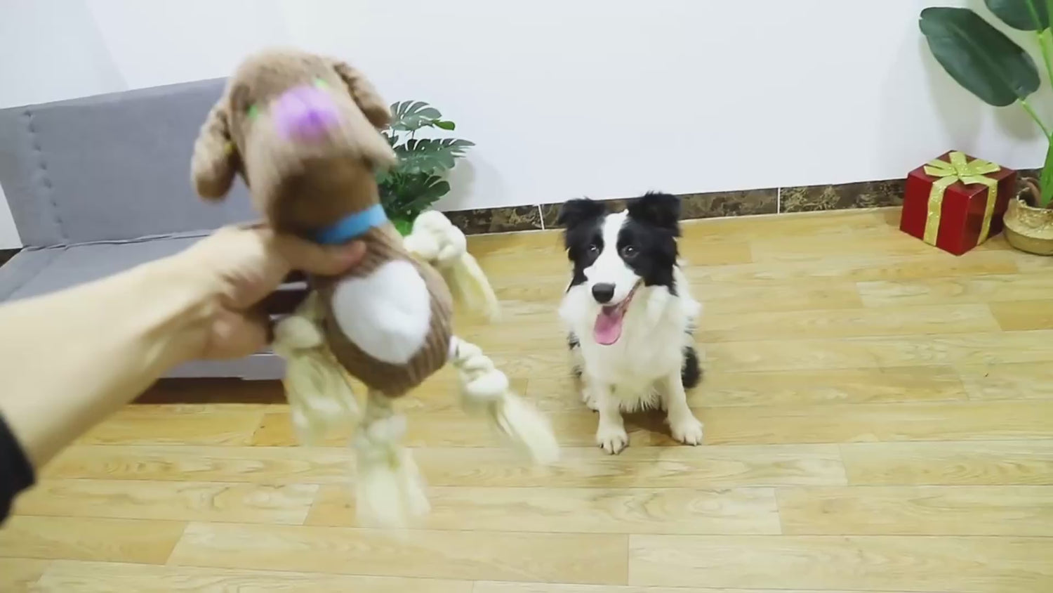 PAWABY plush shell dog toy for interactive play