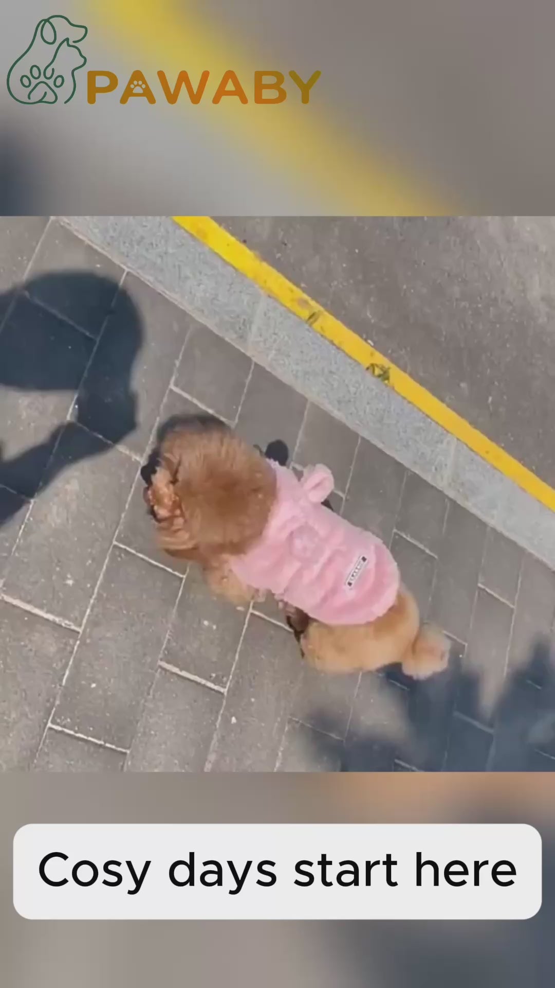 PAWABY embroidered dog hoodie vest