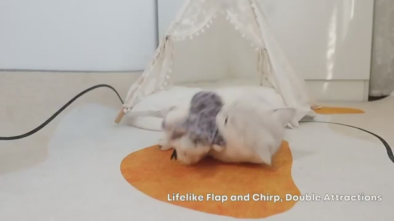Interactive Flapping Bird Cat Toy
