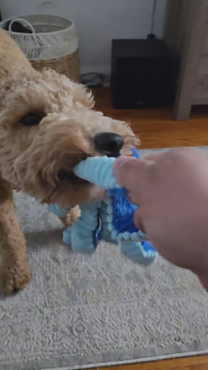 Dog playing with the PAWABY squeaky octopus toy during indoor playtime