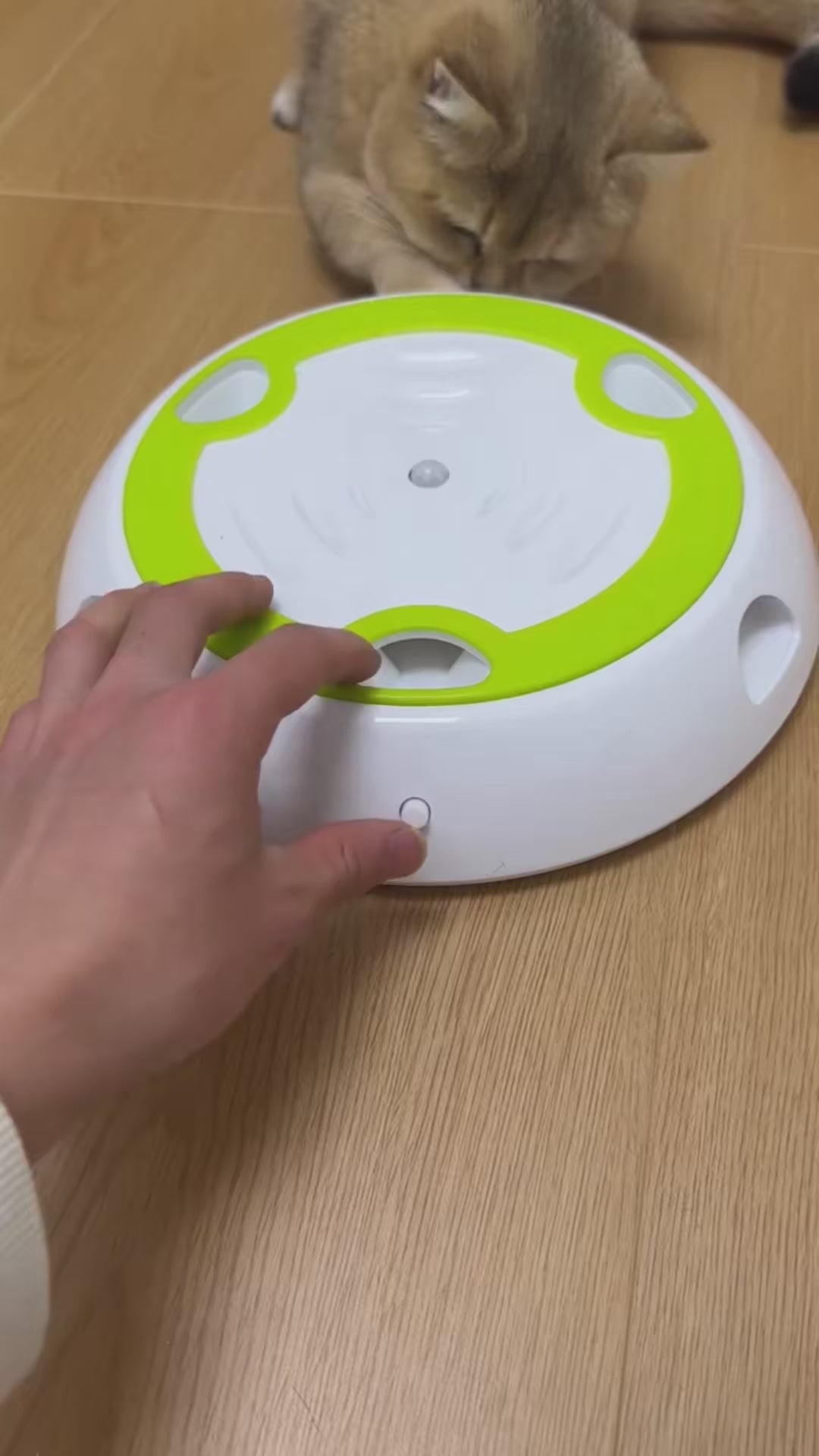 PAWABY Smart Mouse Cat Toy designed for interactive indoor play.