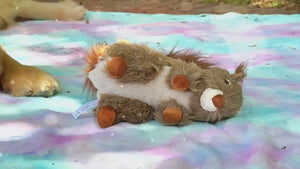 PAWABY squeaky squirrel dog toy for interactive play
