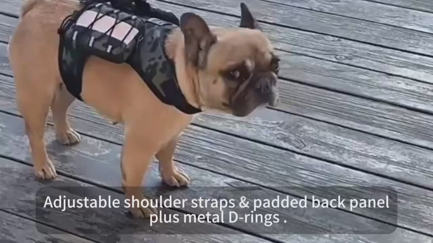 PAWABY Adventure Camo Pet Backpack designed for small dogs and cats.