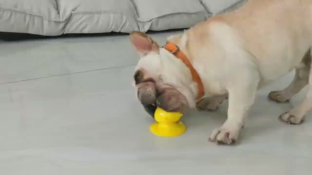 PAWABY interactive dog bathing toy for bath time