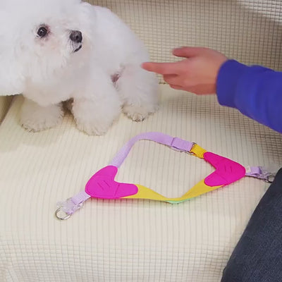 Harness and matching lead included in the PAWABY walking set