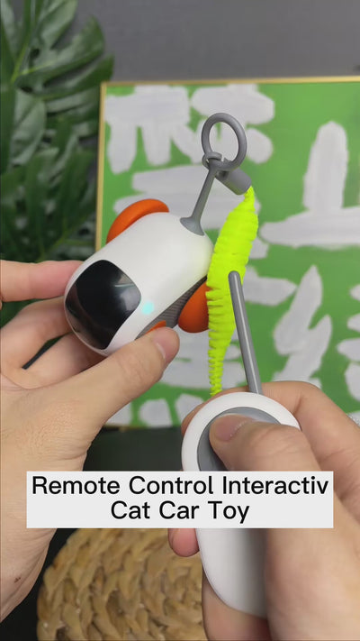 remote control cat toy