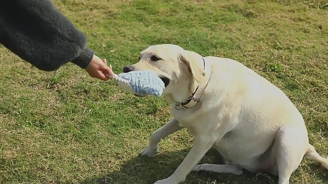 dog enrichment toy