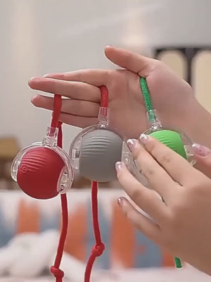 PAWABY Smart Interactive Rolling Cat Ball