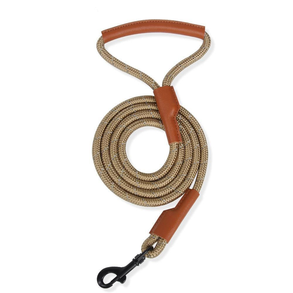 Red walking harness for a sausage dog