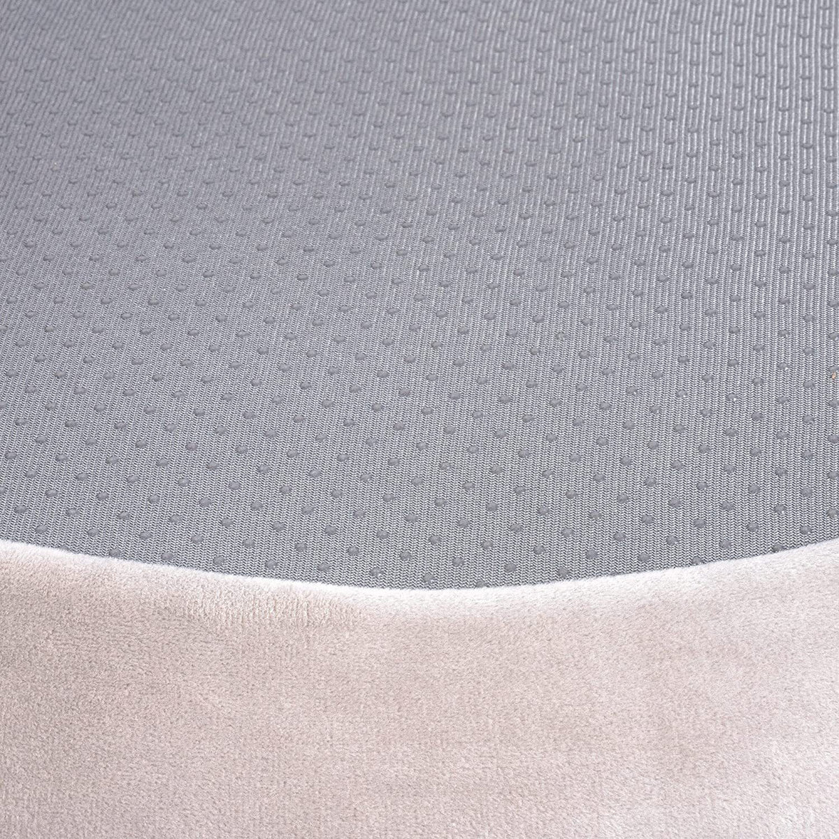 Top view of shark dog bed with padded raised rim