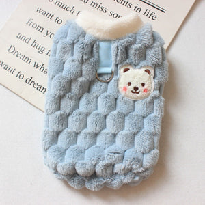 Small dog wearing blue textured gilet