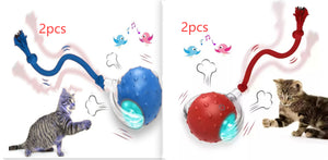USB rechargeable interactive rolling cat ball with intelligent automatic movement.