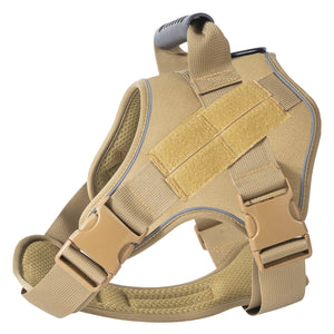 Back view of adjustable tactical dog harness