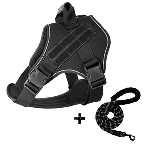 Tactical dog harness with matching lead