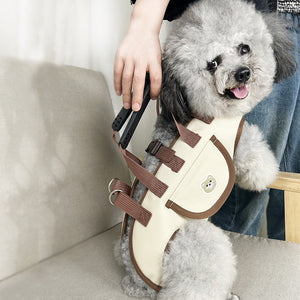 Three-piece dog carrier set with harness, strap and lead