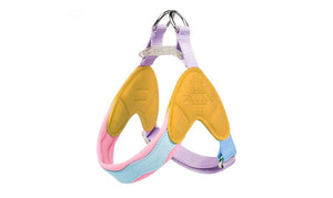 Yellow mesh puppy harness and matching lead